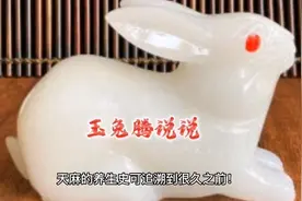 每天吃点天麻，有这些好处哟视频封面