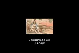 气血足百病除视频封面