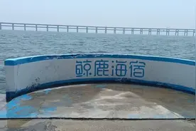 带你们走进大连金沙滩，里面有一尊观音像，可以进去看看。
