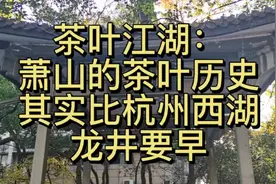 萧山得名于越王勾践的萧然而四顾，境内有茗山，还有贺知章视频封面