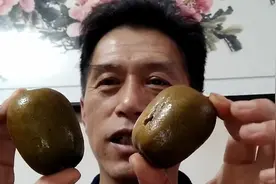 看猕猴桃对血糖的影响有多大！我吃两个，看血糖升高多少！视频封面