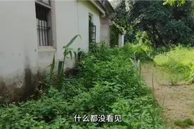 广东深山发现独幢废弃房子，住这地方不怕吗，一个原因不走都不行视频封面