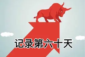 满仓梭哈海运板块，是福是祸明天见分晓视频封面