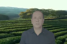 抖音同城和垂直你真的知道吗？
