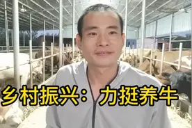 乡村振兴，贷款一百万养牛靠谱吗，办理营业执照多元化发展视频封面