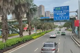 高考时间的来历视频封面