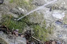 甘肃陇南山顶石头缝蹦出的一股山泉，难得一见视频封面