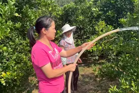 香港微笑回湖南老家后每天帮妈妈干农活吃农家菜，感觉充实而惬意视频封面