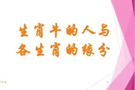 生肖牛🐮的姻缘#月老 #脱单 #恋爱#婚姻#传统文化视频封面