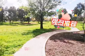 关闭1年半之久的澳大利亚边境将于11月重新开放视频封面