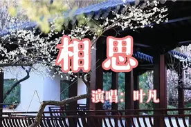 怀旧金曲《相思》！最怕你寂寞最怕你孤单，道尽离愁！视频封面