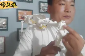 膝关节里面痛真正病根在这里，看完受益了！曹修行原发点疗法。视频封面