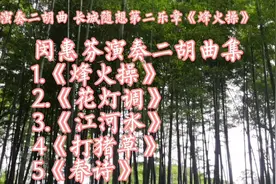 闵惠芬二胡曲《烽火操》《花灯调》《江河水》《打猪草》《春诗》视频封面