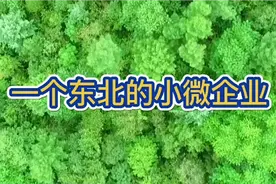 从一个小微企业的生存现状看东北的营商环境视频封面