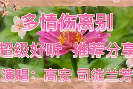 《多情伤离别》我是真的我真的爱你，你却总是在逃避视频封面