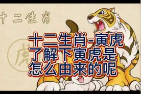 十二生肖之寅虎，来了解下寅虎的传说由来，属虎人的性格特点！视频封面