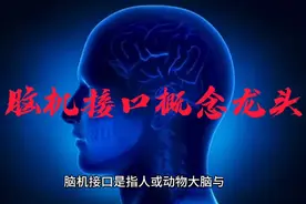 脑机接口概念龙头视频封面