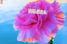 《青花瓷》优美的旋律，动听的歌声，让人百听不厌。视频封面