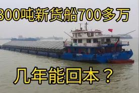船运生意不好为什么那么多人造船？造价700多万货船几年能回本？视频封面