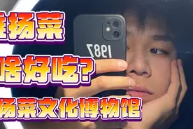 当台湾男孩遇见淮扬菜，十大名菜为什么能成为国宴，入口便是春天视频封面