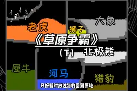 《粉末游戏》—草原争霸！北极熊来到草原会发生什么？（下）视频封面