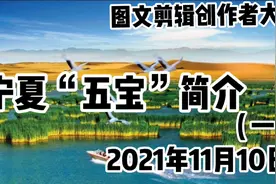 这里是宁夏，宁夏五宝，枸杞，甘草，贺兰石，滩羊皮，发菜。视频封面