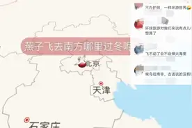 燕子往南飞去哪里过冬呢？原来老祖先早就知道了，大雁往南非。视频封面