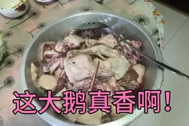 家人知道为什么？东北下雪了要吃大鹅吗？因为…请看视频找答案吧视频封面