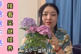 30岁独居剩女，节衣缩食在花盆里种菜自给自足，生活真的太难了！视频封面