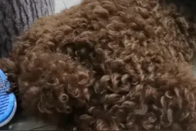 原来修勾的脚脚也是怕痒的视频封面