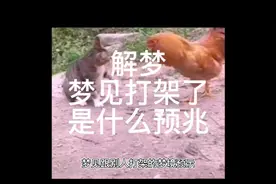 解梦，梦见打架是什么预兆视频封面
