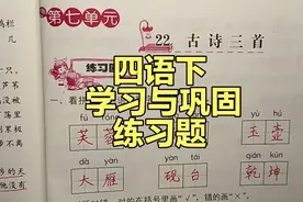 四年级语文下册：22《古诗三首》同步练习题讲解，学习与巩固视频封面