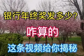 中年银行人年终奖差距大，有人一次发辆宝马，有人要倒贴钱视频封面