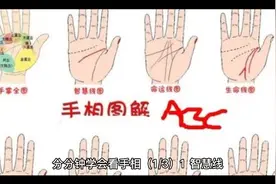 手相看自己的一生分分钟钟了解自己的一生视频封面