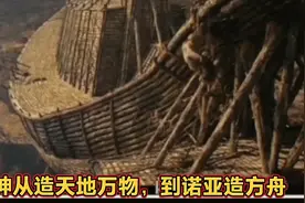 神从造天地万物，到诺亚造方舟视频封面