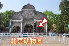 实拍：我国最大动物园，北京动物园，门票10元视频封面