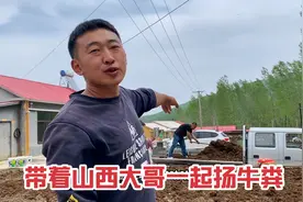 为种菜池要了一大车牛粪，山西大哥一起帮忙扬粪，这是彻底融入了视频封面