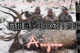 业余狩猎爱好者挑战400公斤驯鹿！历时6个月！视频封面