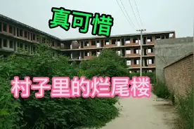 河南农村花上百万建房，建到一半却突然停工不干了，啥原因导致的视频封面