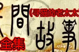 民间小故事（寻猫的老太太）视频封面