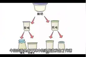 为什么牛奶会变酸？视频封面