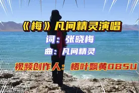 《梅》凡间精灵原唱，声音纯净空灵，歌词句句走心，超级好听…视频封面