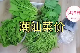 谁说农村消费低？看潮汕地区5月9日菜价有多贵，四线城市一线消费视频封面