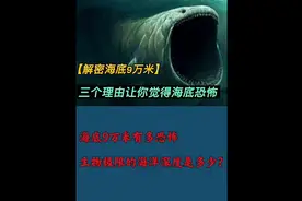 海底九万米有多恐怖，生物极限的海洋深度！视频封面