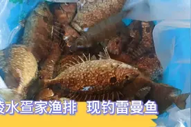 超级鲜美现钓海鱼，陵水疍家渔排，生猛美食打卡地视频封面