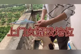兄弟们千万别当上门女婿上门女婿真的太辛苦了视频封面