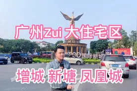 增城 新塘凤凰城 别墅买卖差价一单吃三年视频封面