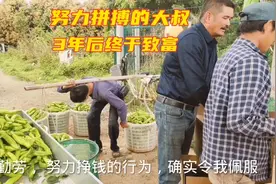 农村大叔不甘心穷苦，苦心钻研辣椒种植技术，三年后终于致富视频封面