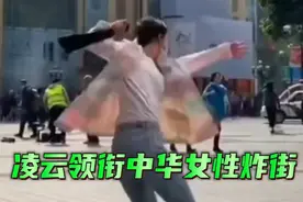 凌云外国观看，凌云峨眉派，凌云火到国外的视频老外看中国功夫视频封面