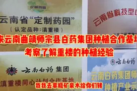 来云南曲靖师宗县白药集团种植合作基地，考察了解重楼的种植经验视频封面